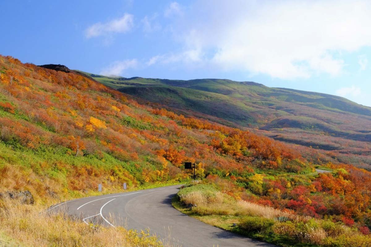 🏞️ 조카이산 호코타테 전망대 이미지 9